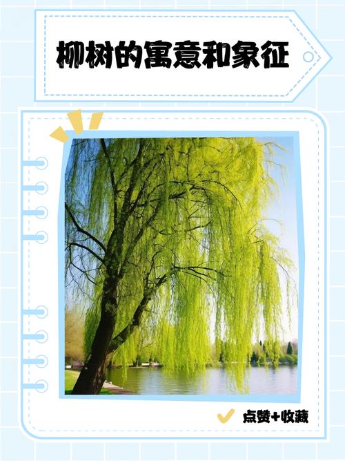 家里种柳树对风水有好处吗？
