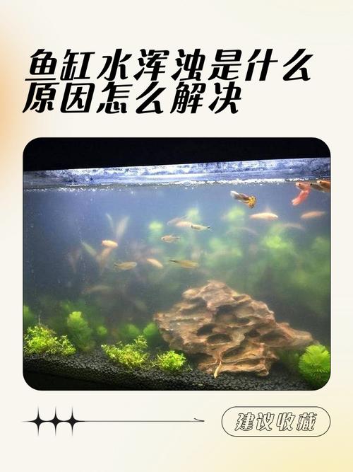 风水石养鱼时，鱼缸内会不会因为水流循环导致氧气不足？