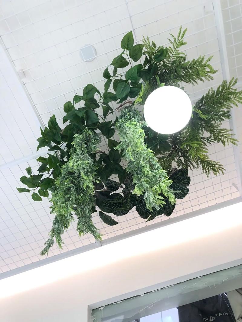 假植物吊顶会对家居风水产生怎样的影响呢？
