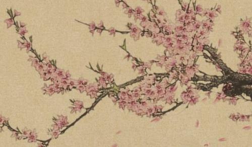 98本命年属虎微信头像 选对头像福气满满